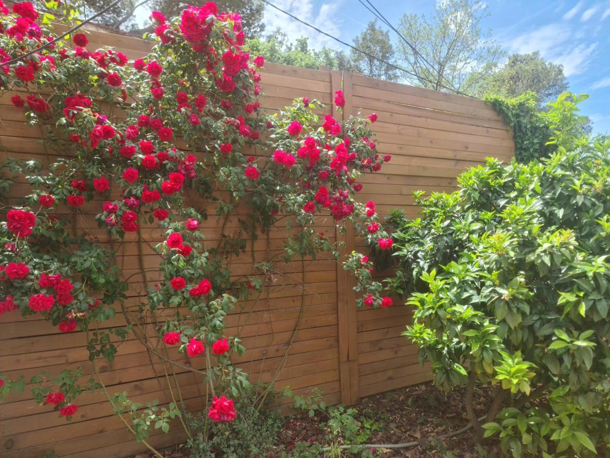 Nature Oasis Near Barcelona With Swimming Pool Parties Not Allowed Sant Cugat del Vallès Exterior foto